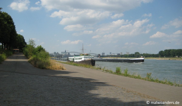 Rhein bei Marienburg