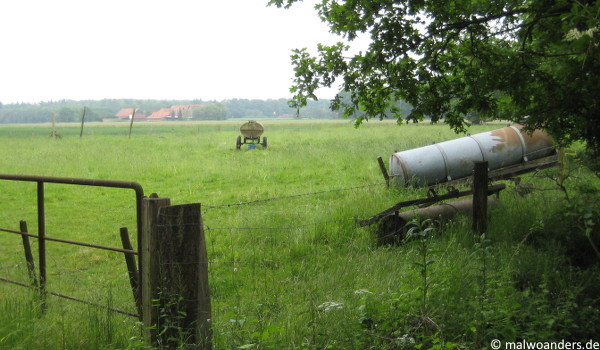 Münsterländische Parklandschaft