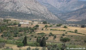 Von Naxos über Potamia nach Chalki | Radtour