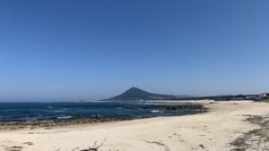 Von Vila Praia de Ancora nach Tui